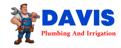 Trusted plumber in MEDON